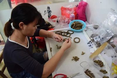 茂名沙垌村 以“一棵樹(shù)”為媒，茶香沉香共譜富民曲